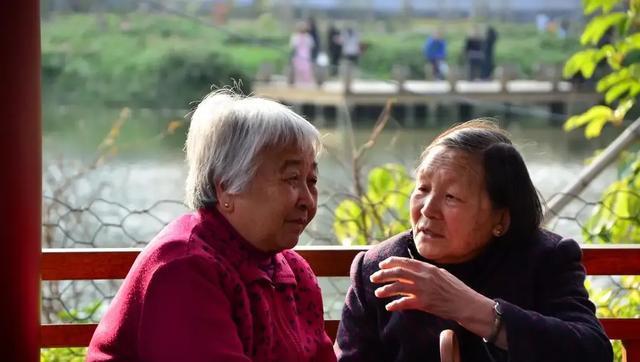 或其他关节, 管系统功能