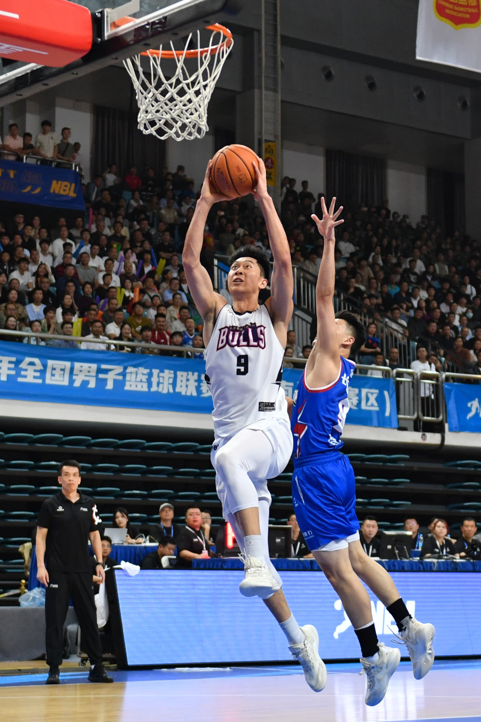 香港金牛队 香港金牛队